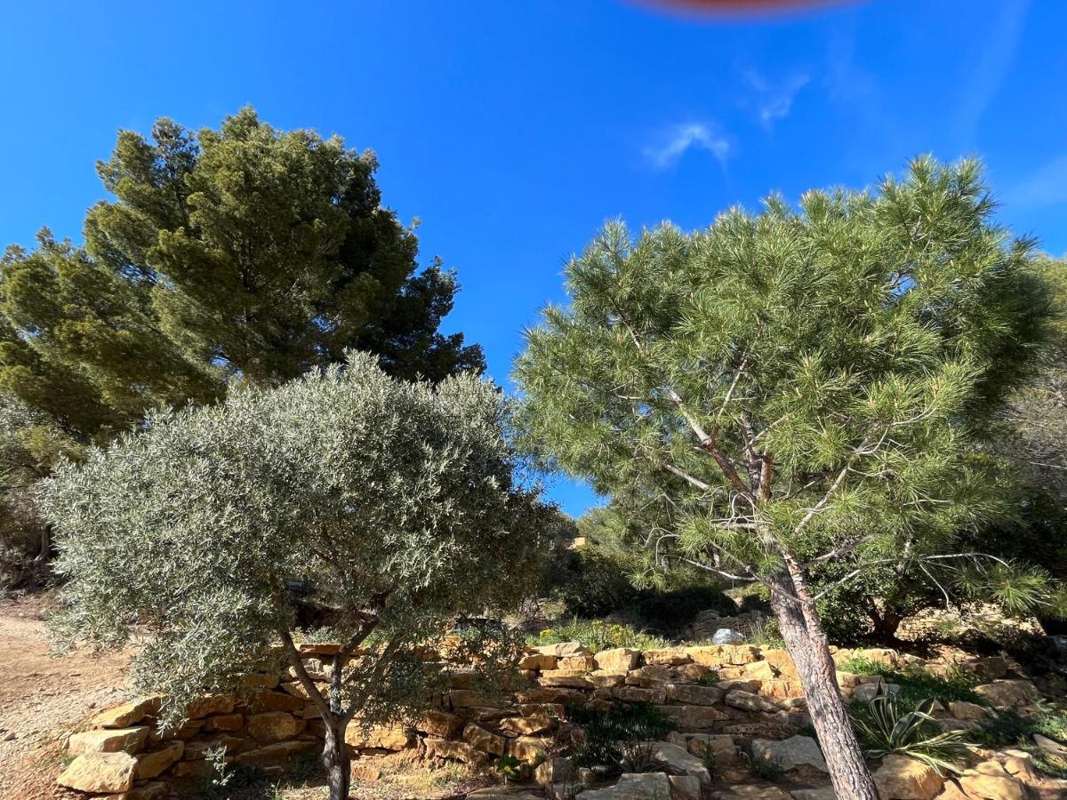 Villa Avec Jacuzzi Sur Les Hauteurs De La Ciotat Ceyreste Exterior photo